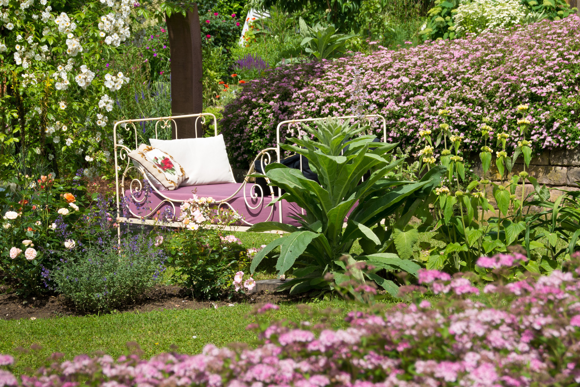 Im rosa Gartenzimmer mit Ramblerrose Bobby James