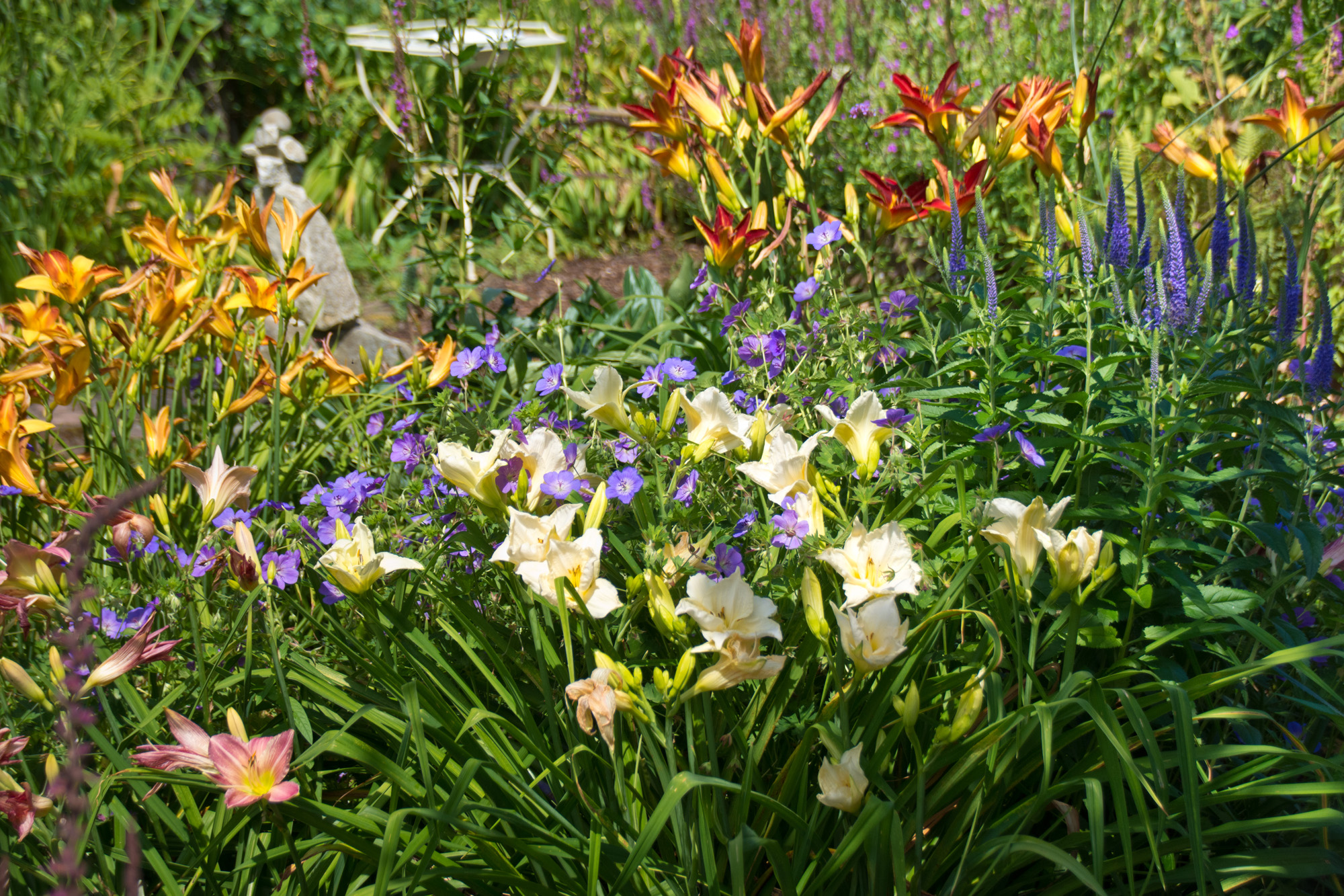 Im hinteren Teil des Gartens bilden verschiedene Tagliliensorten und Storchschnabel ein harmonisches Bild.