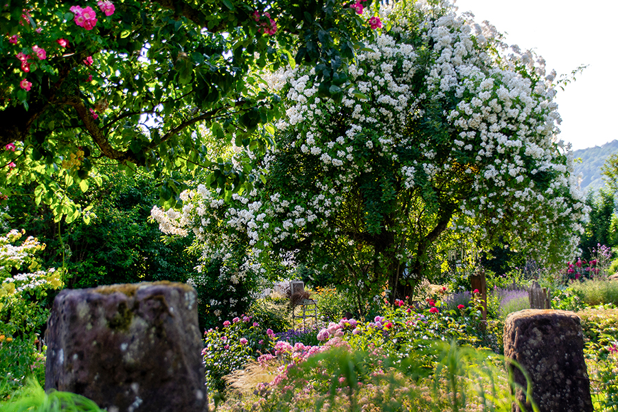 Tag der offenen Gartentür 202416. Juni 12-17 Uhr